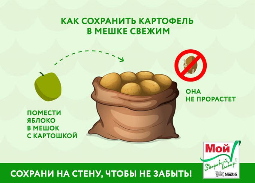Советы, как хранить картошку в сумке