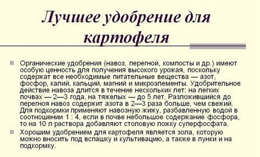Лучшее удобрение для картофеля при расчете посева