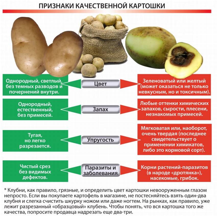 Признаки качественного картофеля