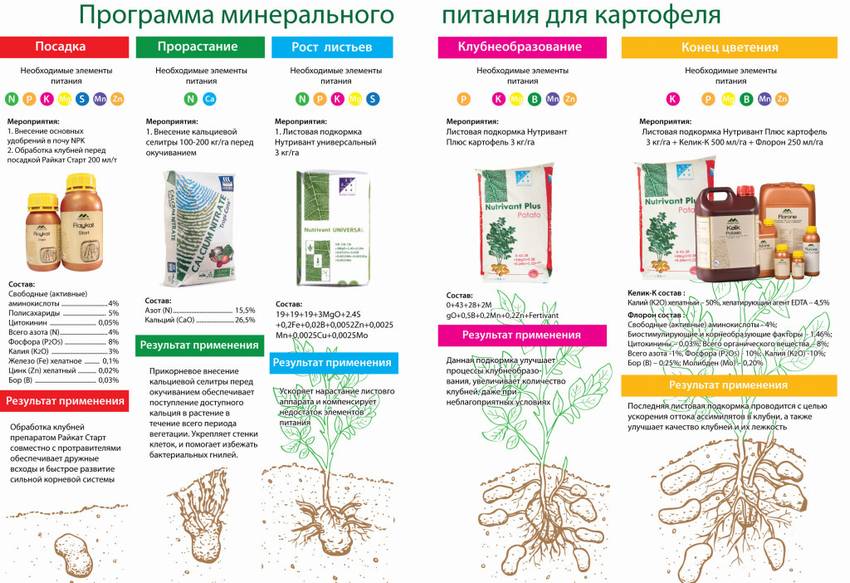 Программа минерального питания картофеля