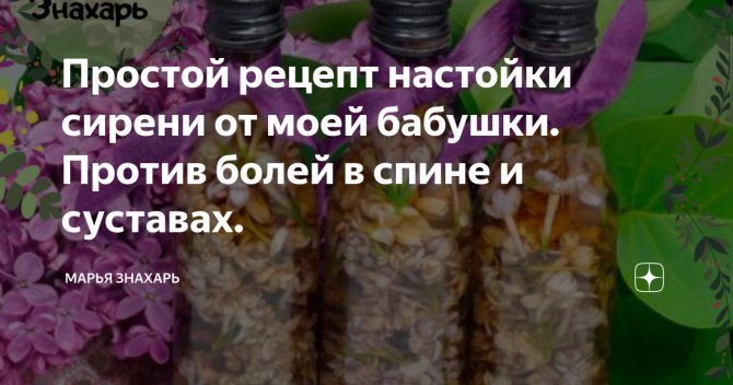 Ростки картофеля как мощное народное средство от многих известных болезней