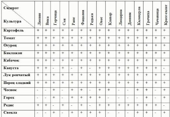 стол сидератов для разных культур